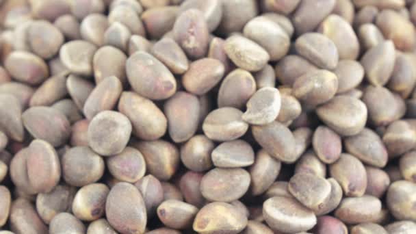 Pine nuts in bulks — Stock Video