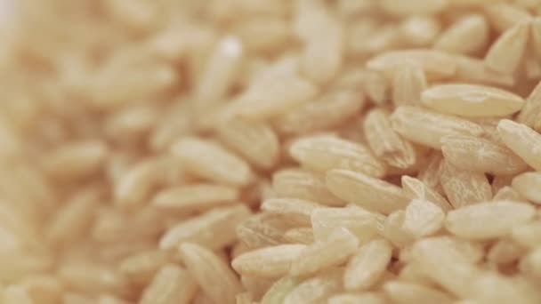 Brązowy ryż luzem — Wideo stockowe