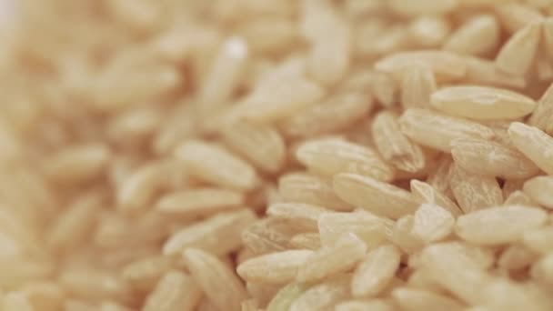 Brown rice in bulk — Stock Video