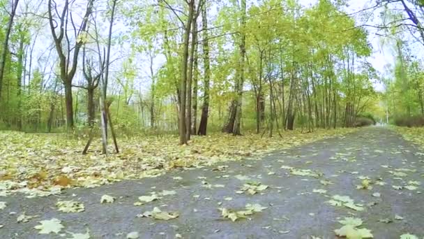 Parque de la ciudad de otoño Sokolniki — Vídeo de stock