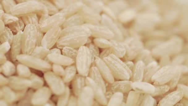 Brown rice in bulk — Stock Video