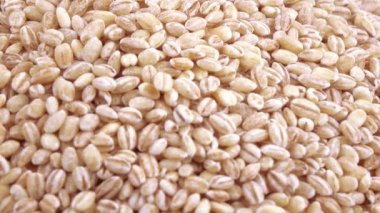 Pearl arpa zararlıları ile