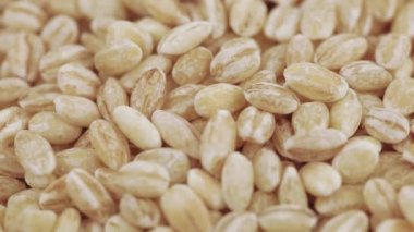 Pearl arpa zararlıları ile