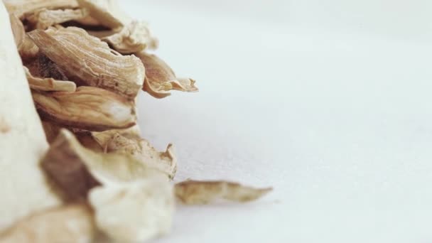 Dried white mushrooms — Stock Video