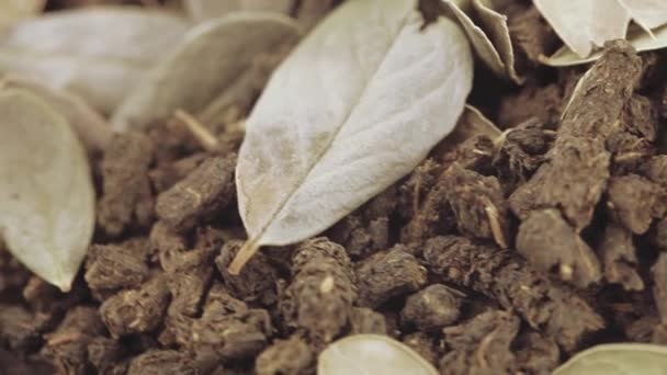 Иван чай с листьями брусники — стоковое видео