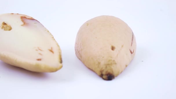 Gezuiverde ossicle van avocado — Stockvideo