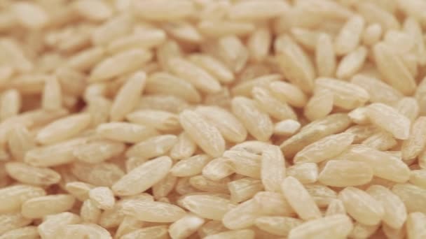 Brauner Reis in loser Schüttung — Stockvideo
