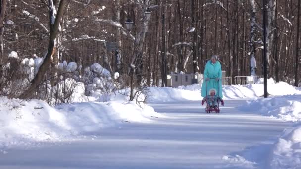 妈妈在溜冰鞋和女儿的雪橇上 — 图库视频影像