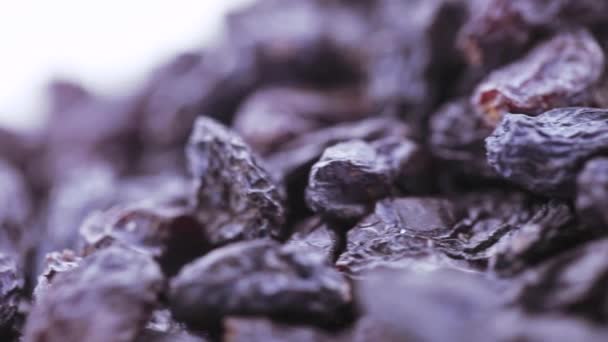 Pile de raisins bleus — Video