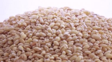 Pearl arpa zararlıları ile