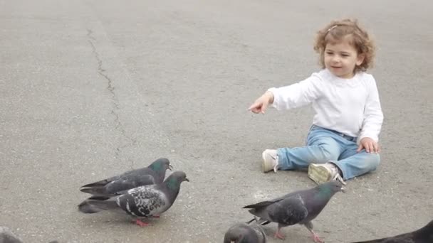 Chica alimenta a las palomas — Vídeo de stock