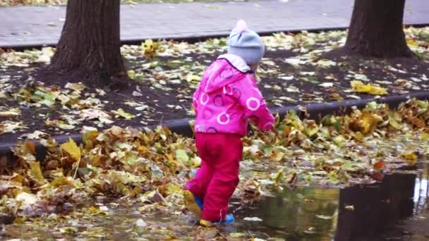 Girl child runs through puddles — Stock Video