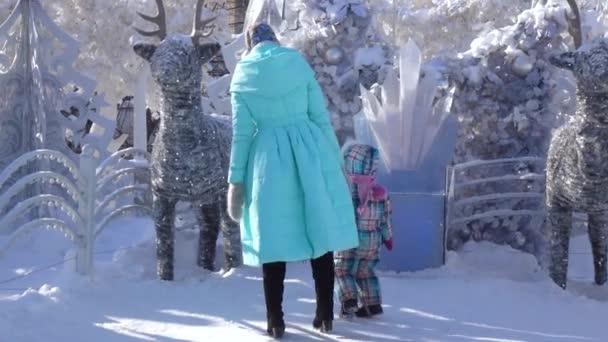 Mom and daughter in a winter park — Stock Video
