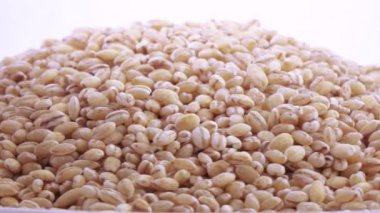Pearl arpa zararlıları ile
