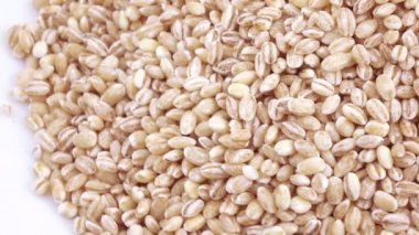 Pearl arpa zararlıları ile