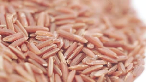 Red Kernel Rice in bulk — Stock Video