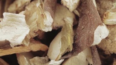 kurutulmuş beyaz mantar