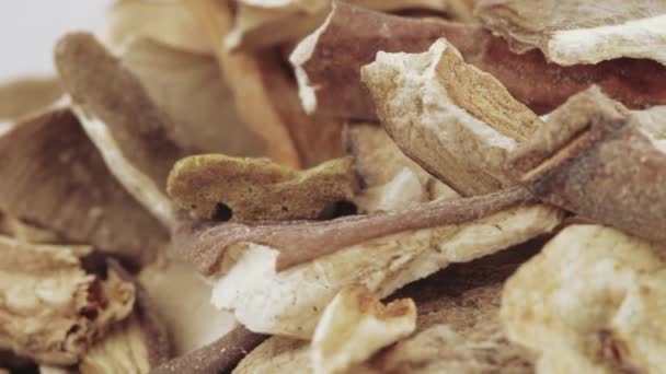 Dried white mushrooms — Stock Video