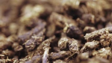 Ivan-tea mayalanmış.