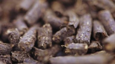 Ivan-tea mayalanmış.