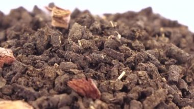 Nedisarum ihmalkarlığıyla Ivan çayı