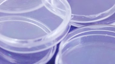 Kutuları plastik paralar için