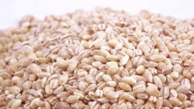 Pearl arpa zararlıları ile