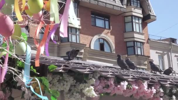 Tauben auf dem Dach — Stockvideo