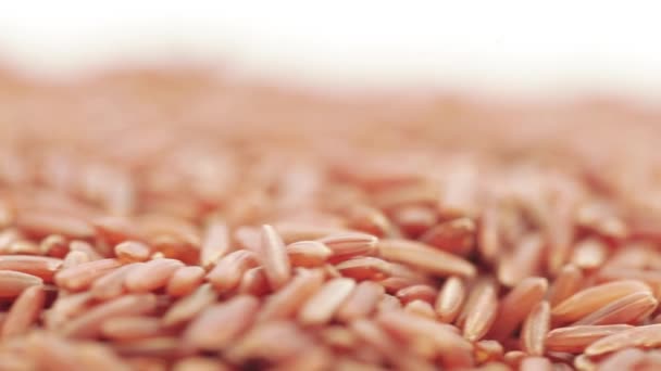 Red Kernel Rice in bulk — Stock Video