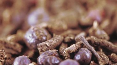 Ivan-Çay üzümü ile