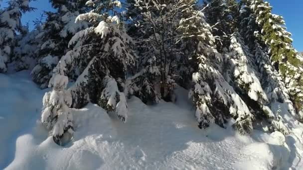 Сніговий покритий схил і з'їв — стокове відео