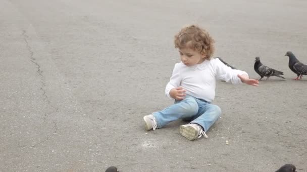 Dziewczyna karmi gołębie — Wideo stockowe