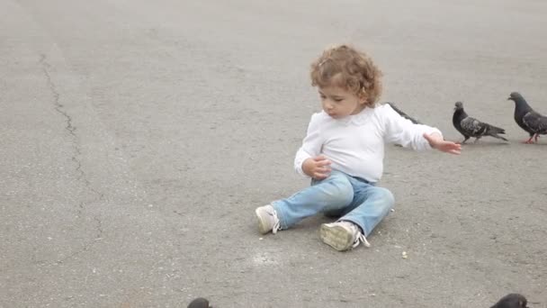 Girl feeds the pigeons — Stock Video