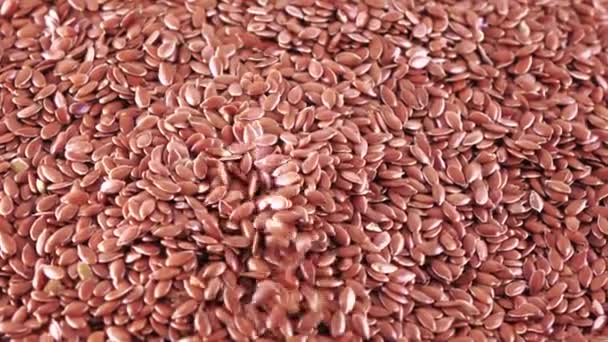 Semillas de lino a granel — Vídeos de Stock