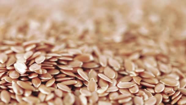 Семена льна оптом — стоковое видео