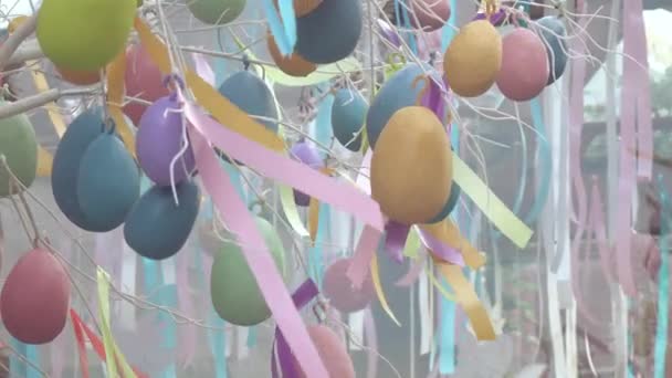 Decorative eggs for festive decoration — Stock Video