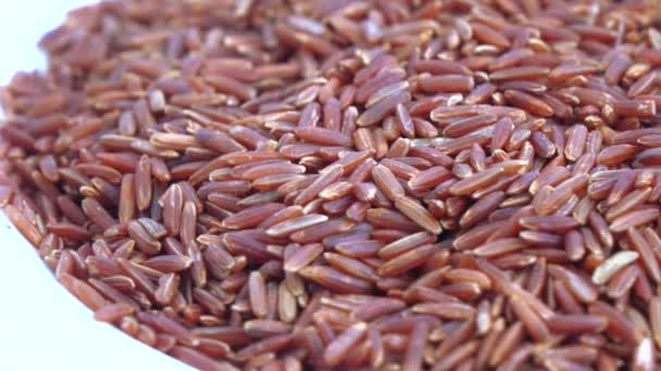 Arroz de grano rojo a granel — Vídeos de Stock