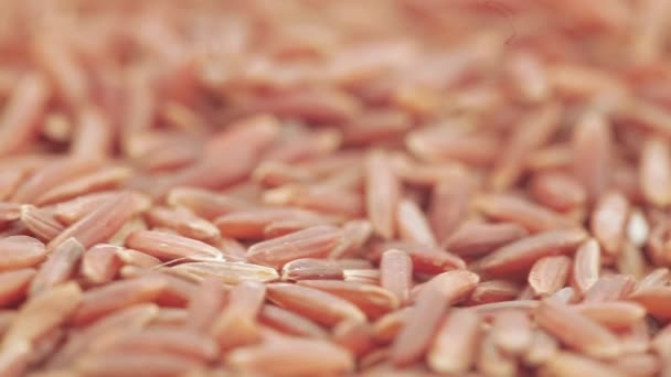 Arroz de grano rojo a granel — Vídeo de stock