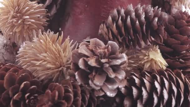 Árbol de Navidad de conos — Vídeo de stock