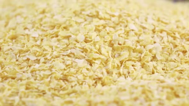 Corn flakes wholegrain — Stock Video