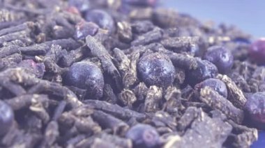 Ivan-Çay üzümü ile