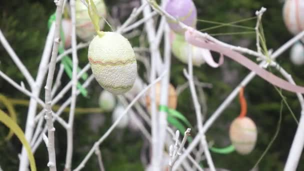 축제 장식 장식 계란 — 비디오