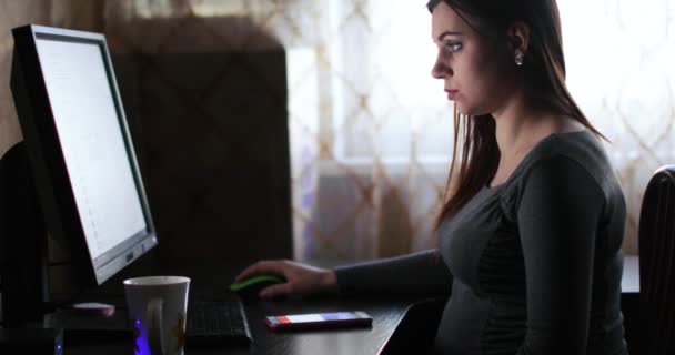 Pregnant girl at the computer — Stock Video