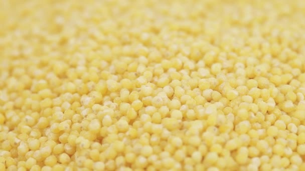 Millet geschuurd in bulk — Stockvideo