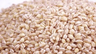 Pearl arpa zararlıları ile