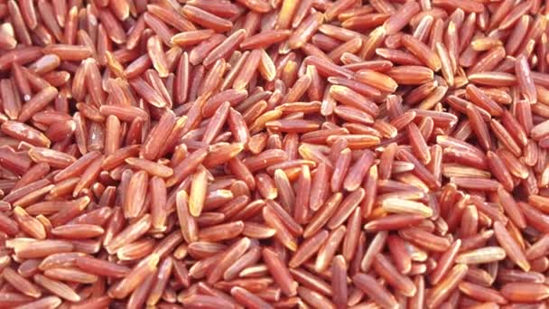 Arroz de Kernel Vermelho a granel — Vídeo de Stock