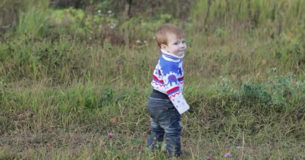 Baby jongen wandelen in het dichte gras — Stockvideo