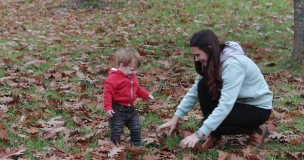Junge wirft mit seiner Mutter Blätter — Stockvideo