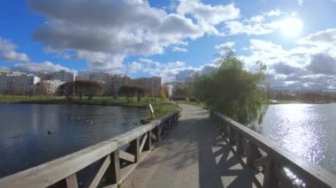 bir su birikintisi üzerinde ahşap köprü