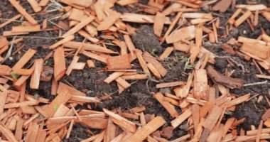 Renkli odun parçaları